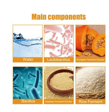 Natural Sunscreen Cream Organic Probiotic Rice Protection Face Body